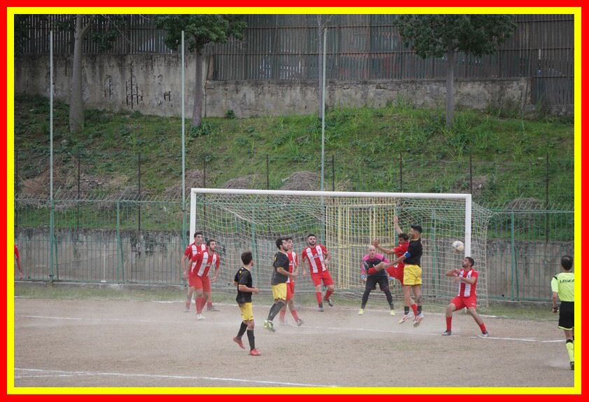 DSC09961_tn.jpg