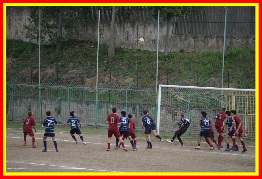 DSC09488_tn.jpg