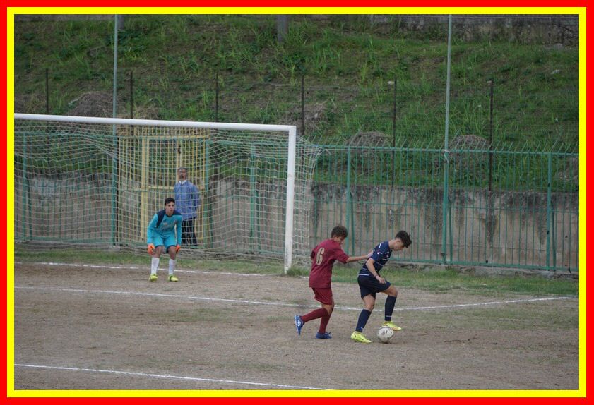 DSC09546_tn.jpg