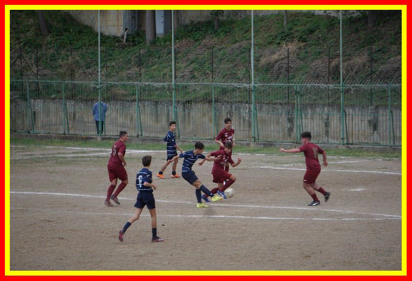 DSC09550_tn.jpg