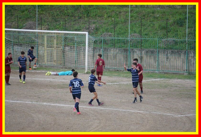 DSC09553_tn.jpg