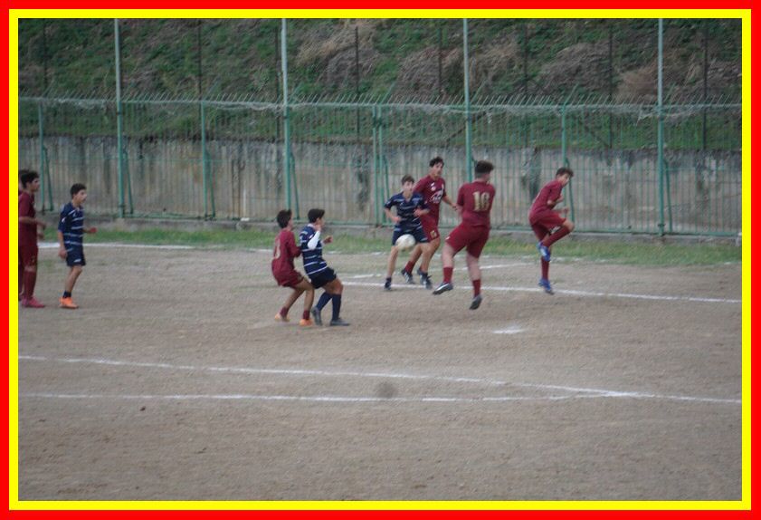 DSC09555_tn.jpg