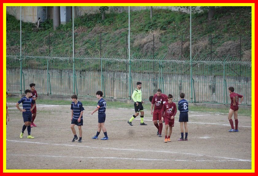 DSC09557_tn.jpg