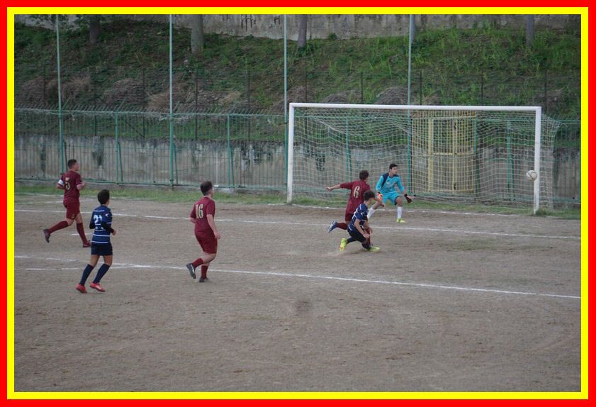 DSC09565_tn.jpg