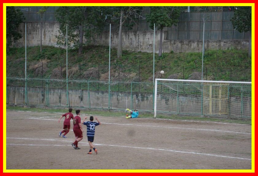 DSC09568_tn.jpg