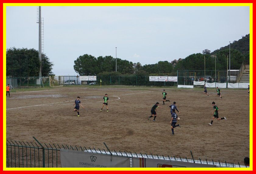 DSC00318_tn.jpg