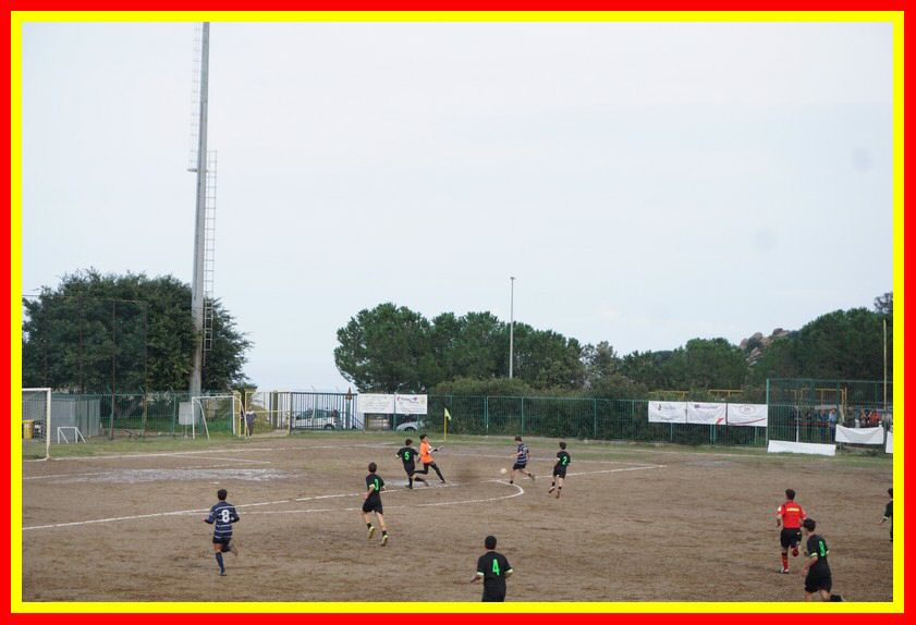 DSC00320_tn.jpg