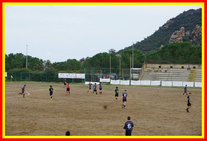DSC00321_tn.jpg