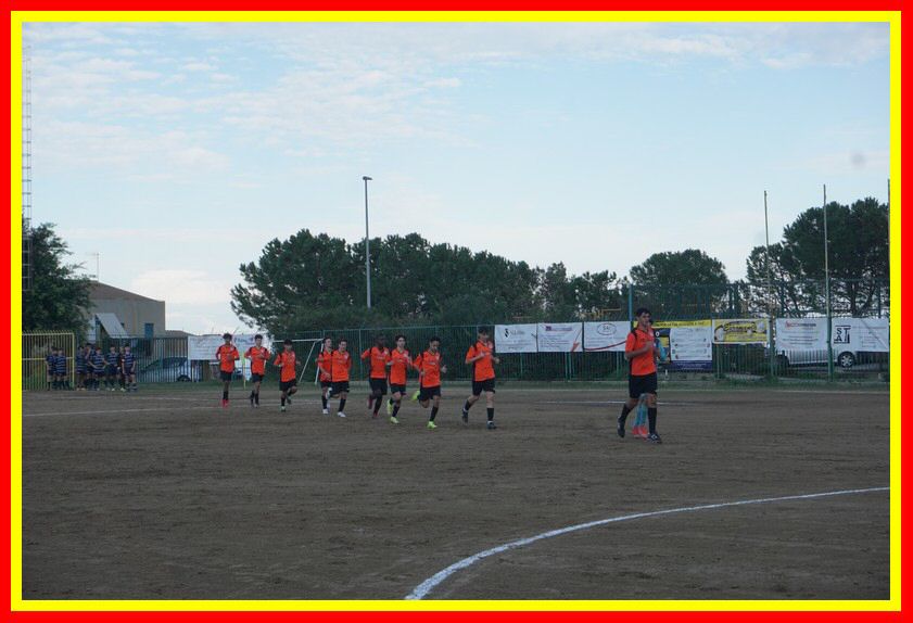 DSC01205_tn.jpg
