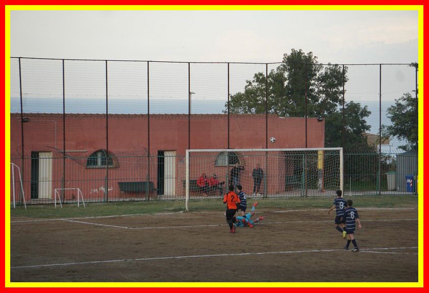 DSC01239_tn.jpg