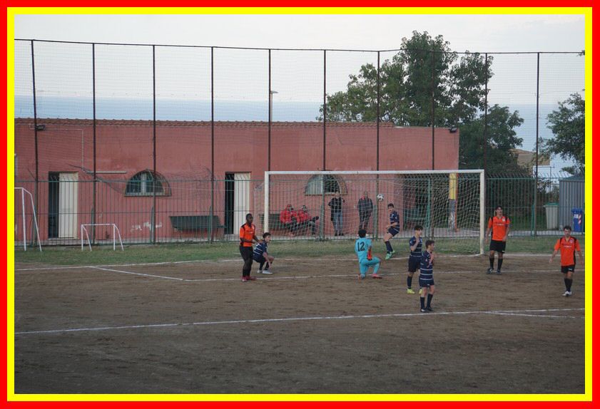 DSC01240_tn.jpg
