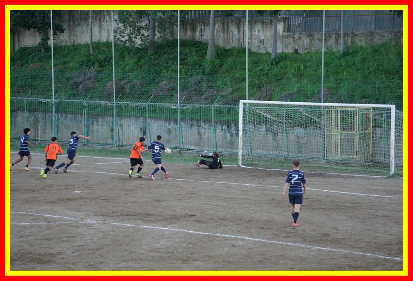 DSC01252_tn.jpg