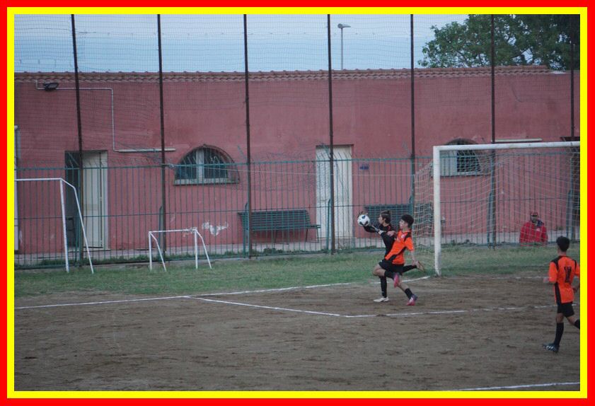 DSC01260_tn.jpg