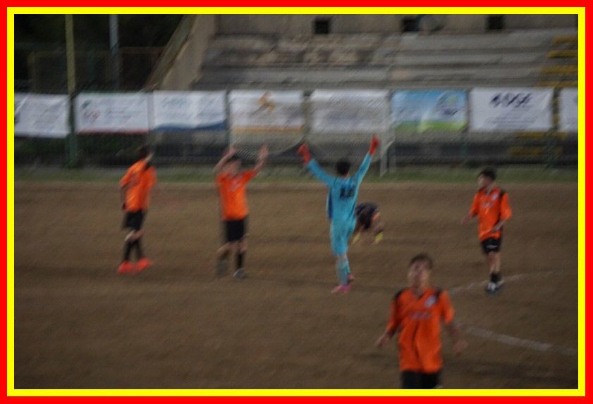 DSC01294_tn.jpg