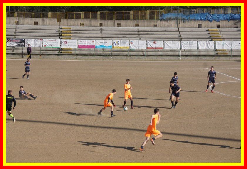 DSC04835_tn.jpg