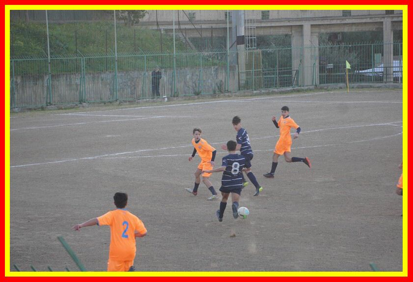 DSC04896_tn.jpg