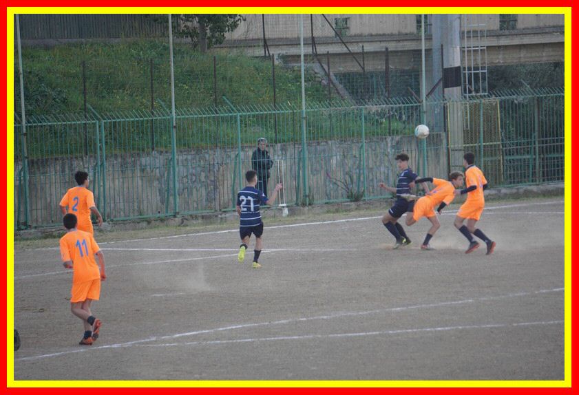 DSC04897_tn.jpg