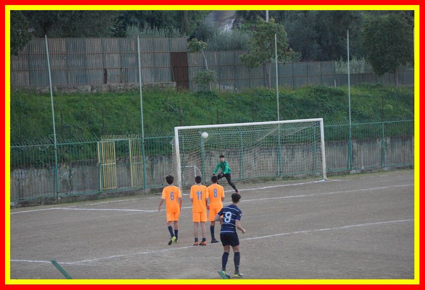 DSC04903_tn.jpg