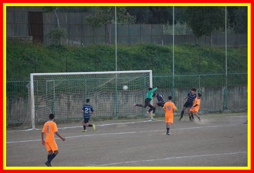 DSC04906_tn.jpg