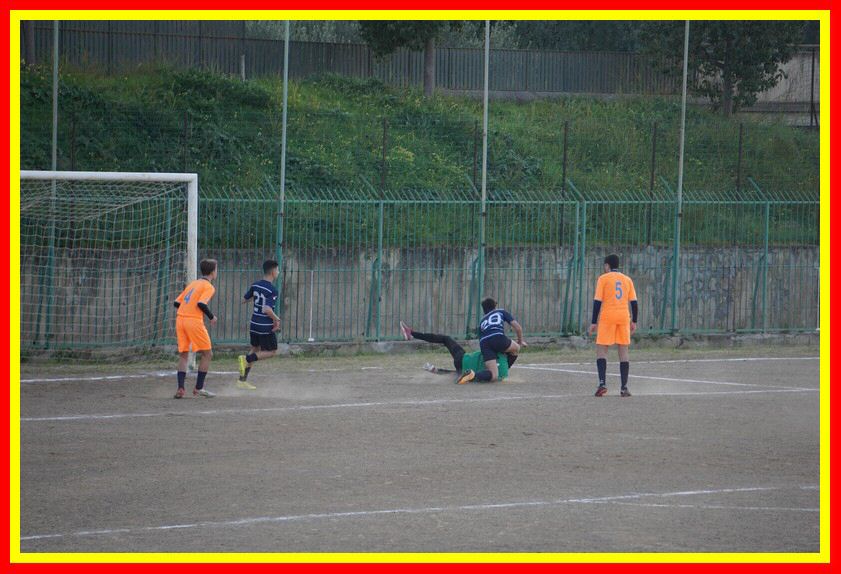 DSC04910_tn.jpg