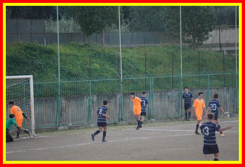DSC04916_tn.jpg