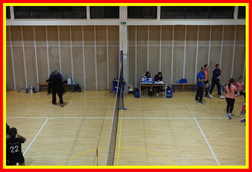 DSC02001_tn.jpg
