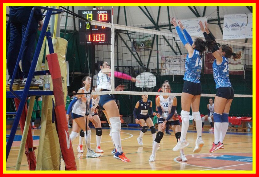 DSC02397_tn.jpg