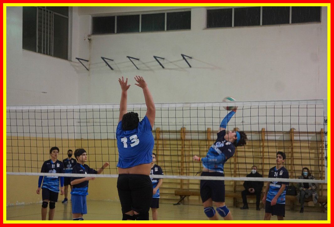 DSC03706_tn.jpg