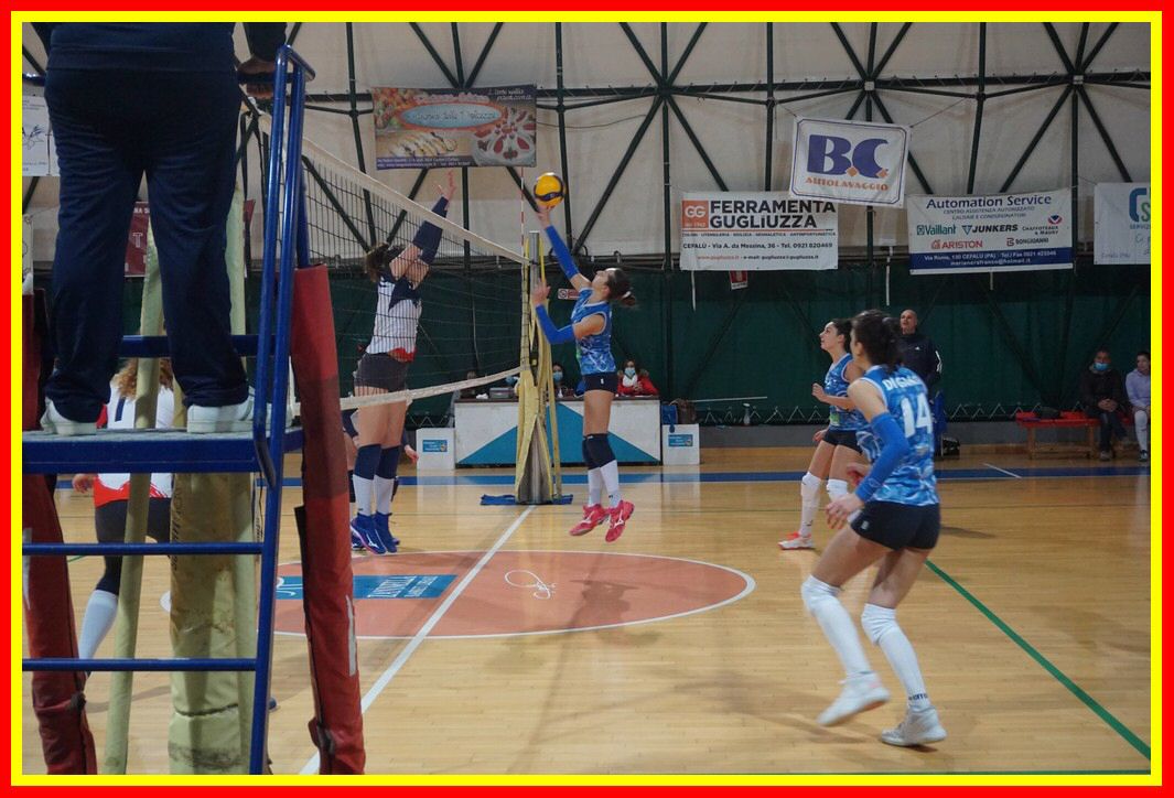 DSC03977_tn.jpg