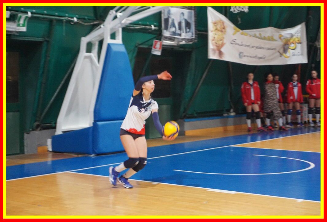 DSC03984_tn.jpg
