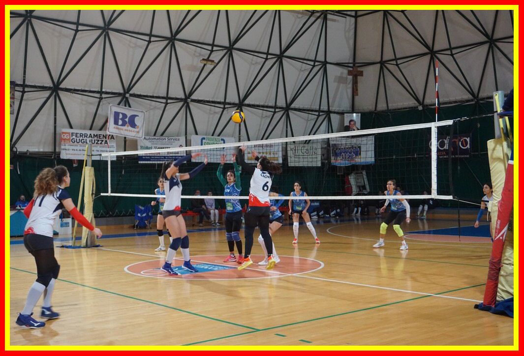 DSC03985_tn.jpg
