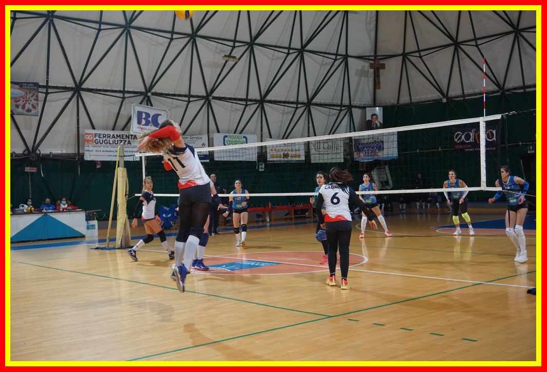 DSC03986_tn.jpg