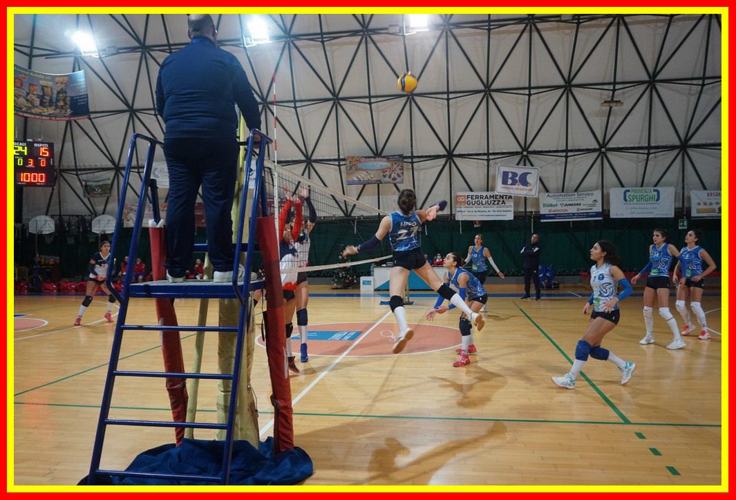 DSC03997_tn.jpg