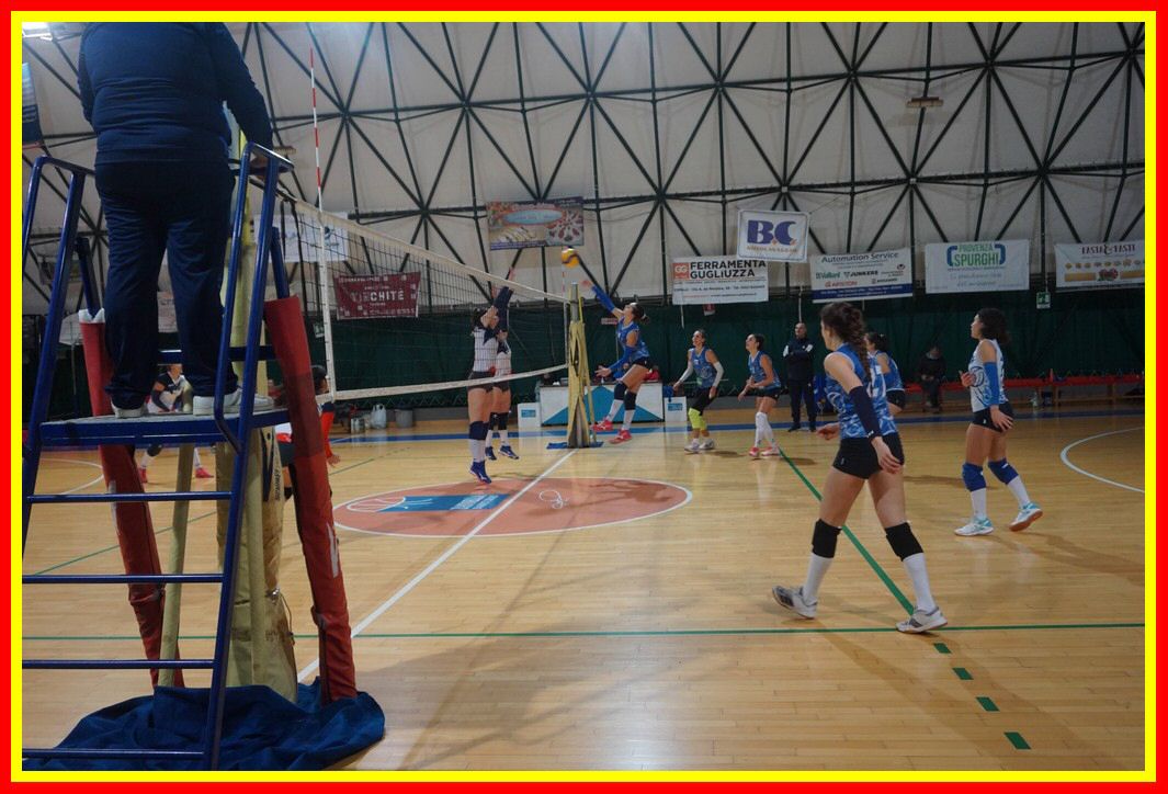 DSC03999_tn.jpg