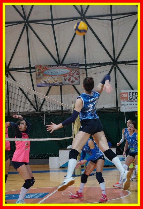 DSC04562_tn.jpg