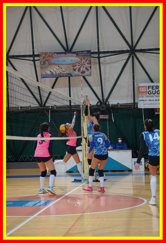 DSC04567_tn.jpg