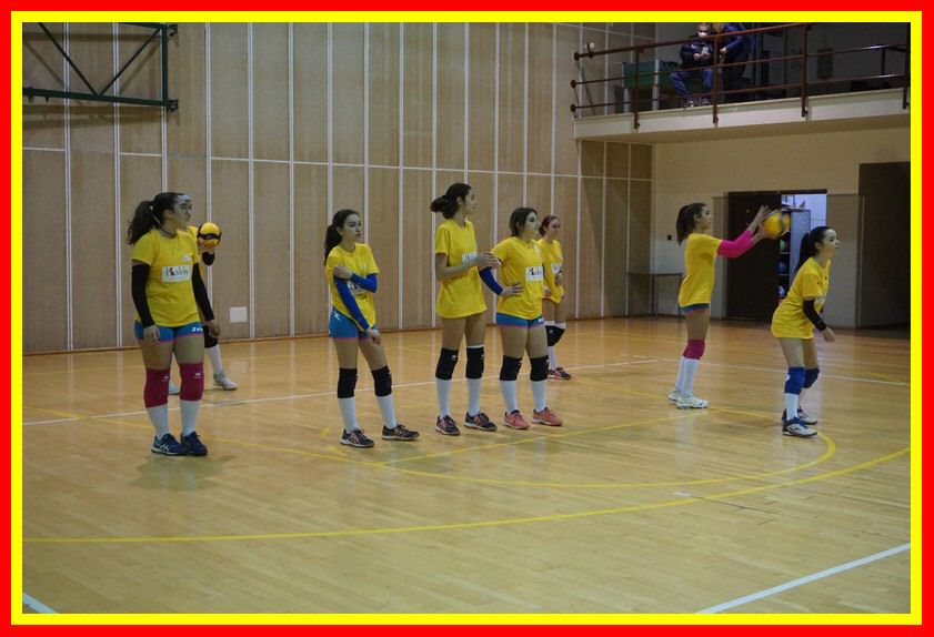 DSC05049_tn.jpg