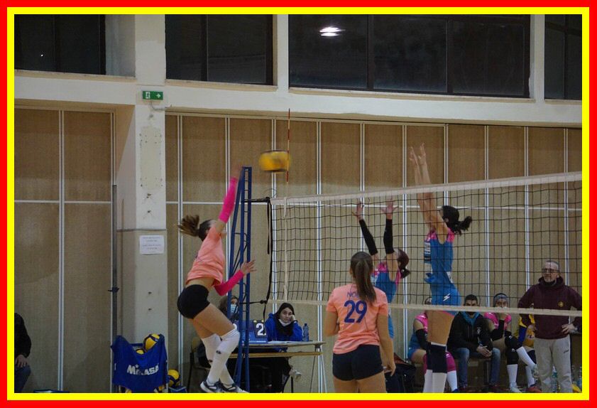 DSC05077_tn.jpg