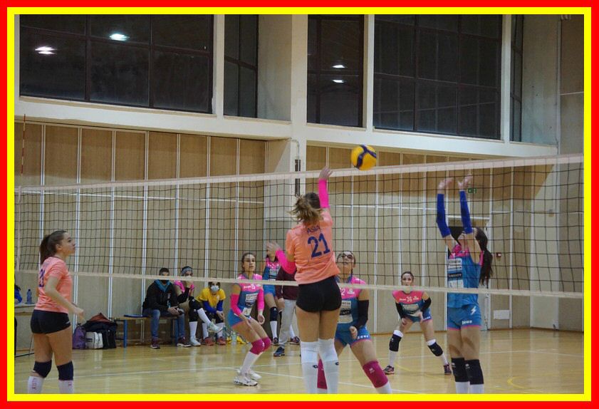 DSC05089_tn.jpg