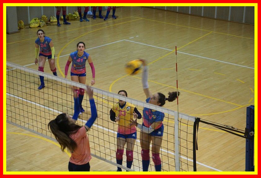 DSC05778_tn.jpg