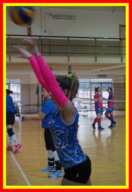 DSC06088_tn.jpg