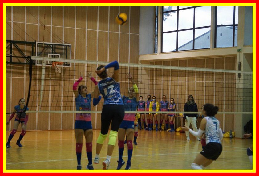 DSC06141_tn.jpg