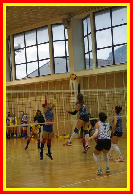 DSC06142_tn.jpg