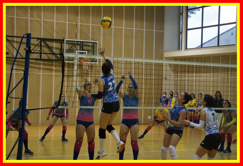 DSC06146_tn.jpg