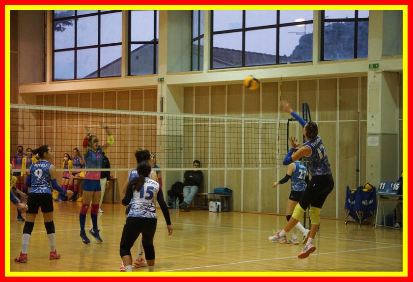 DSC06182_tn.jpg
