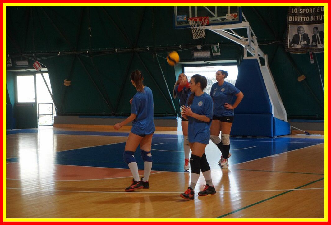 DSC03146_tn.jpg