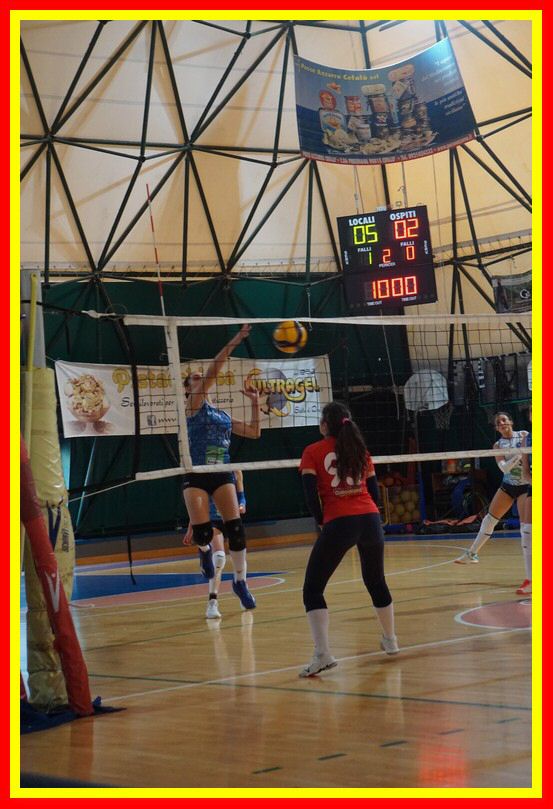 DSC03252_tn.jpg