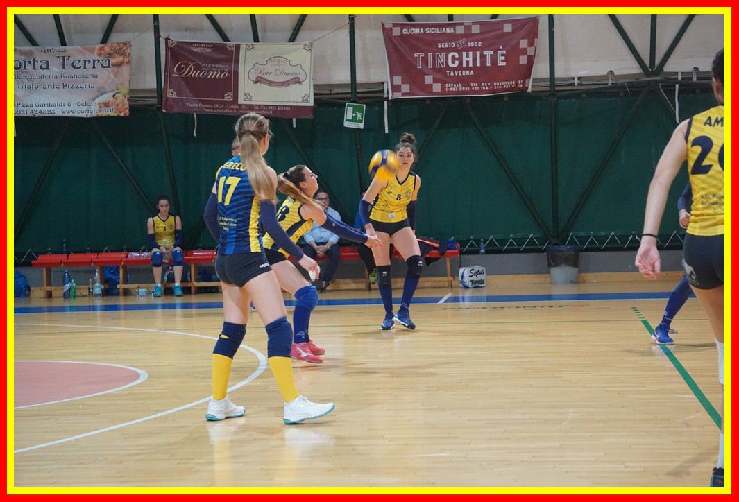 DSC03459_tn.jpg