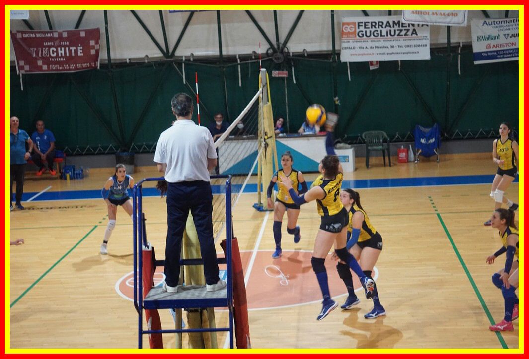 DSC03537_tn.jpg