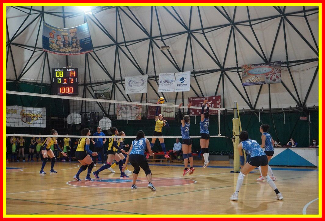 DSC03595_tn.jpg